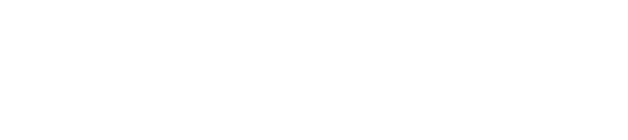 DocZoom